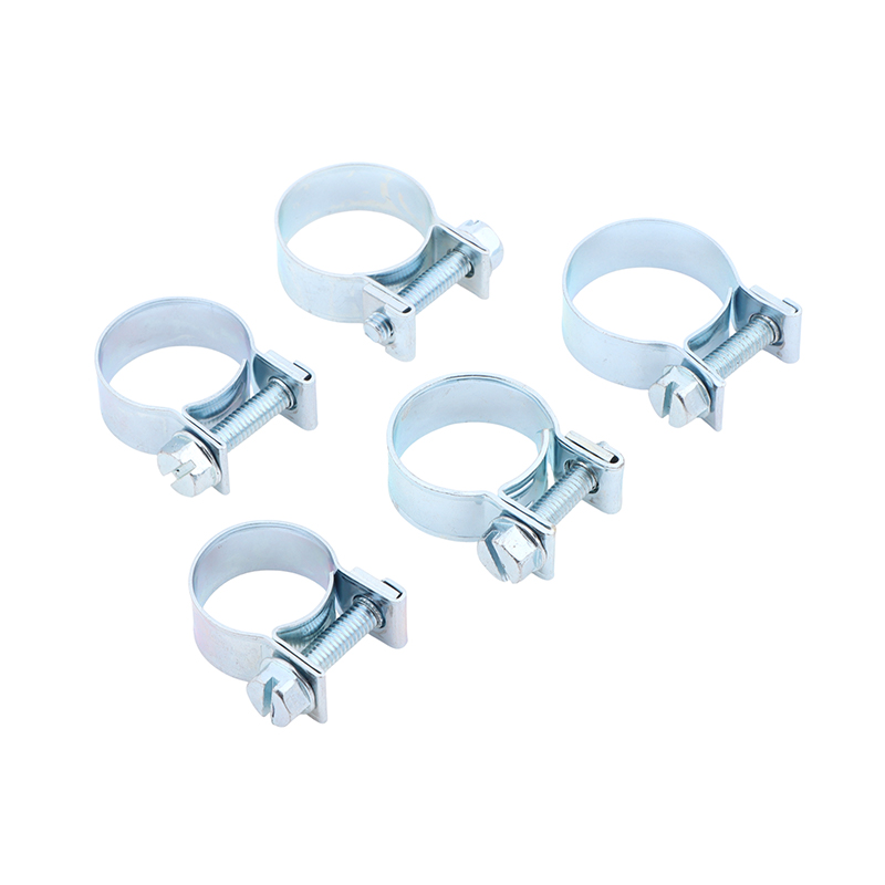 Jubilee Hose Clips 10Pcs Set f - Tippet Line 评论和价格